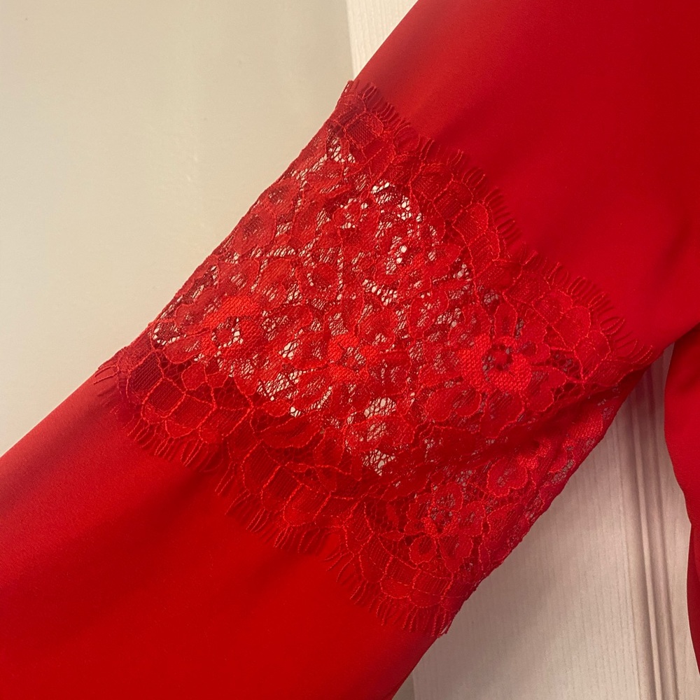 Express red lace peek a boo dress